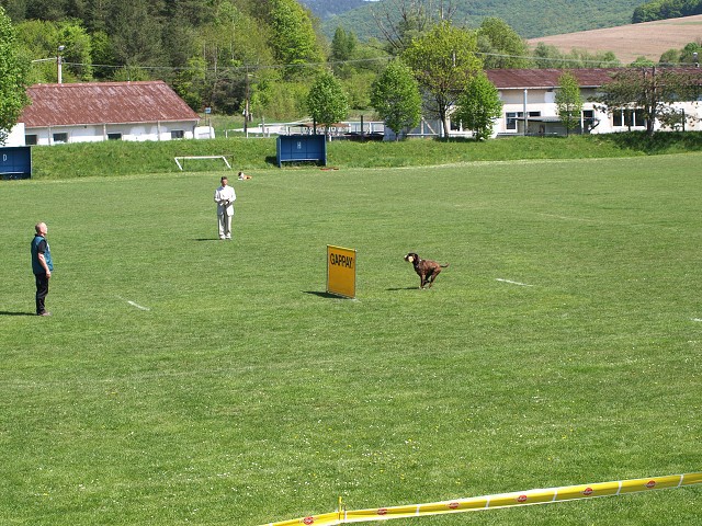 www.atibox.net * www.euroboxer.eu * www.boxergenealogia.eu